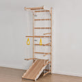 Indoor Climber Playset for Toddlers with Plate Swing and Slide GainNo