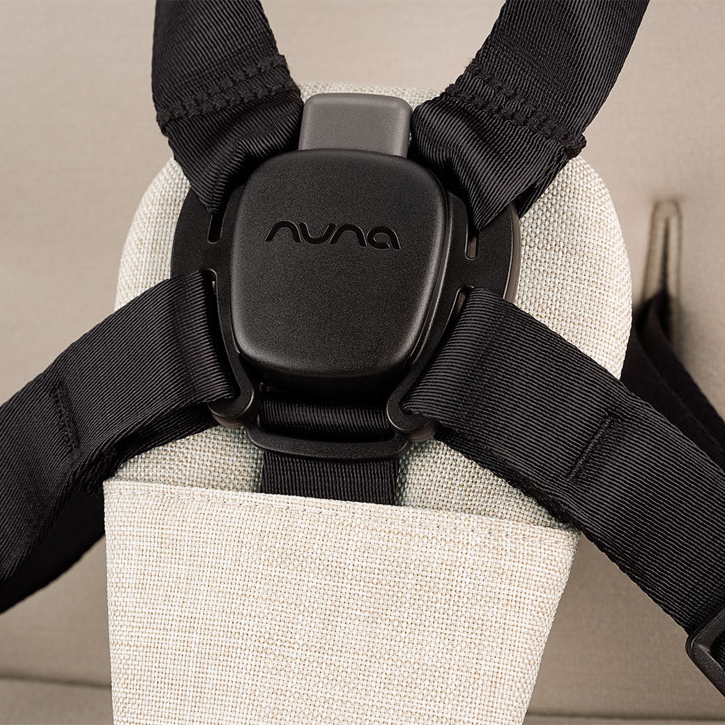 Stroller and PIPA Series Travel System GainNo