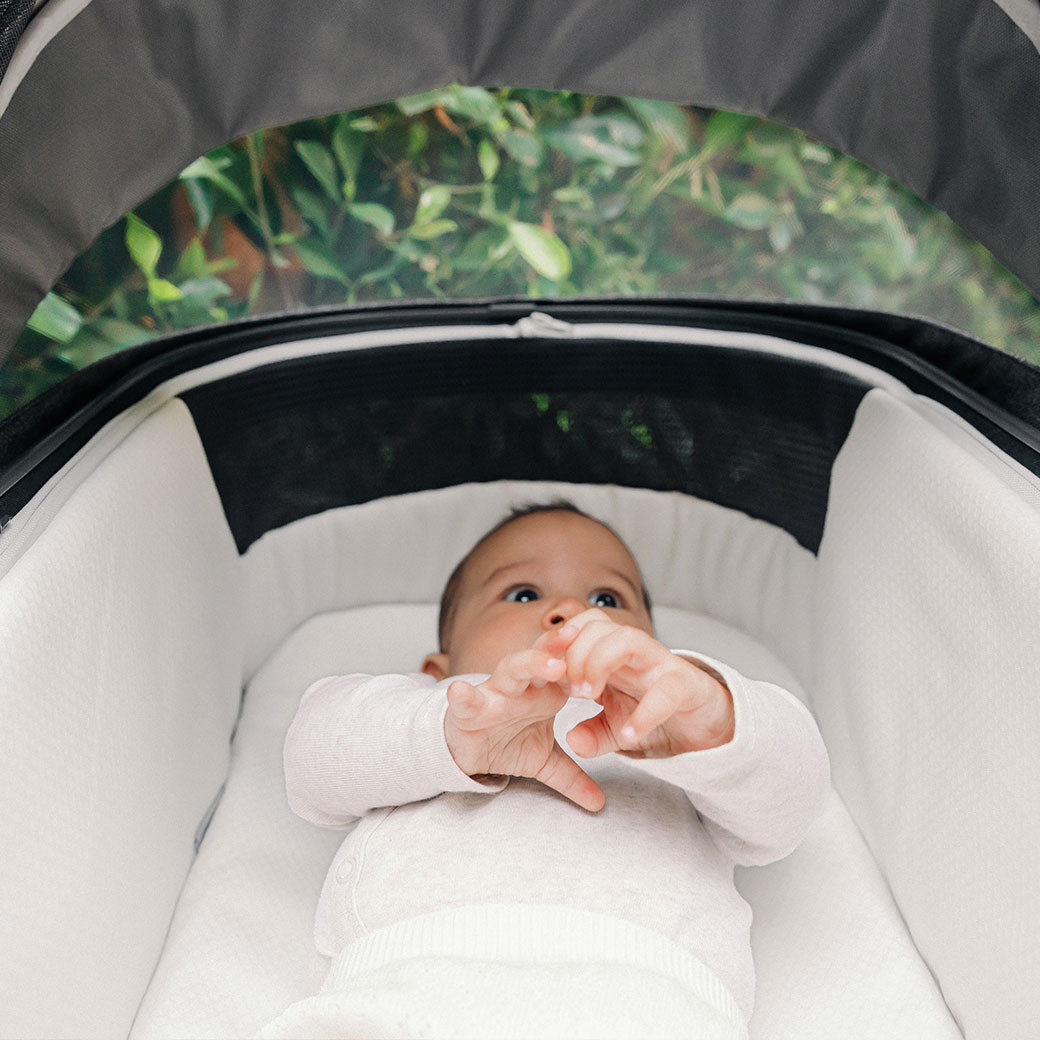All-Terrain Vista V3 Stroller GainNo