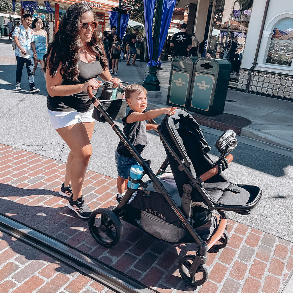 Single to Double Sit-and-Stand Stroller with 2nd Toddler Seat GainNo