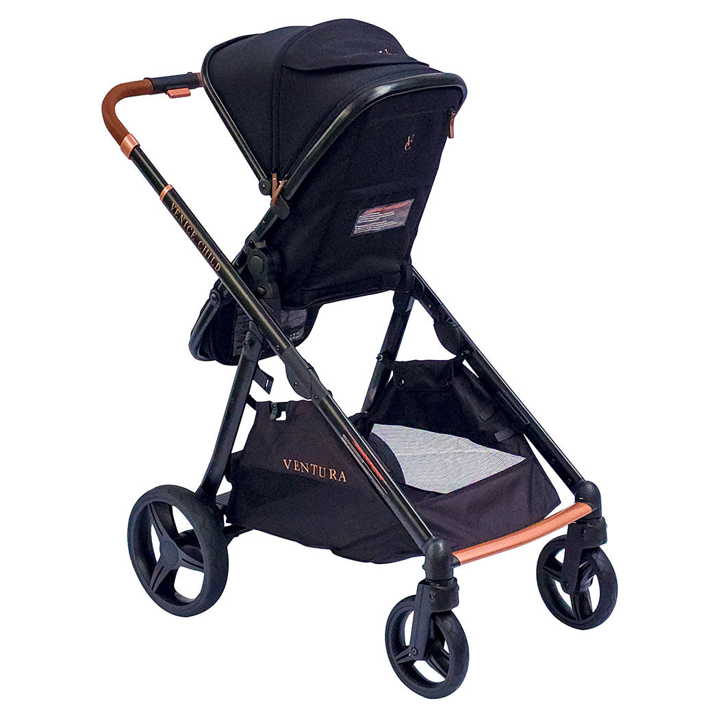 Single to Double Sit-and-Stand Stroller GainNo